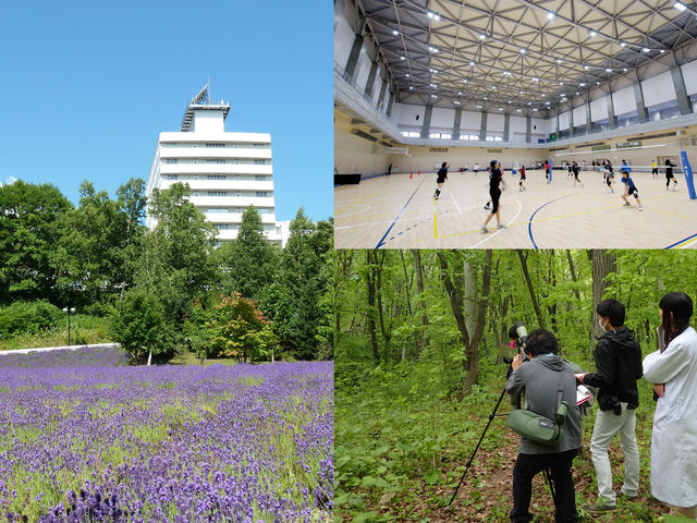 東海大学 札幌キャンパス