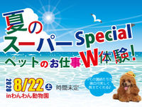 夏休みスーパースペシャル体験の画像