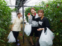注目のカリキュラム