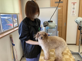 就職サポート1の写真