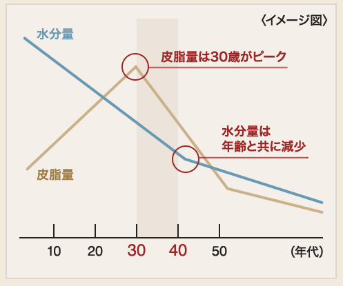 http://coffrea.jp/179 より引用