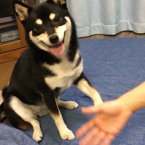 さーちゃんるっちゃんママ