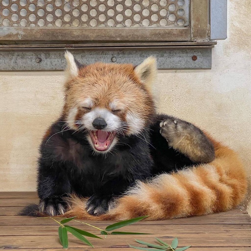 ちはる