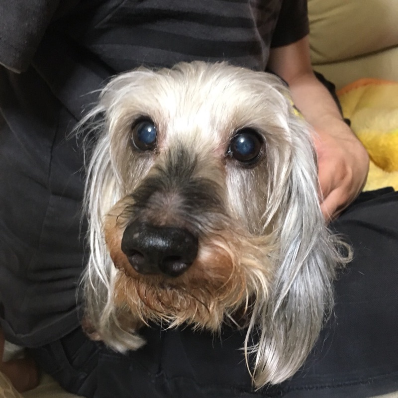 幸生ママ改め幸太ママ