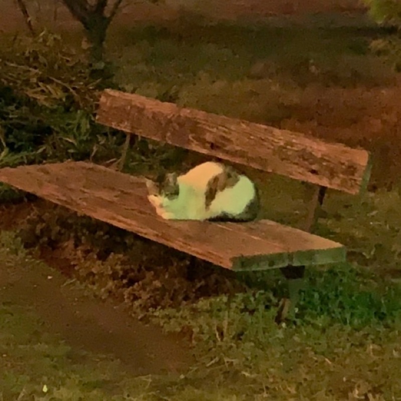 みなと