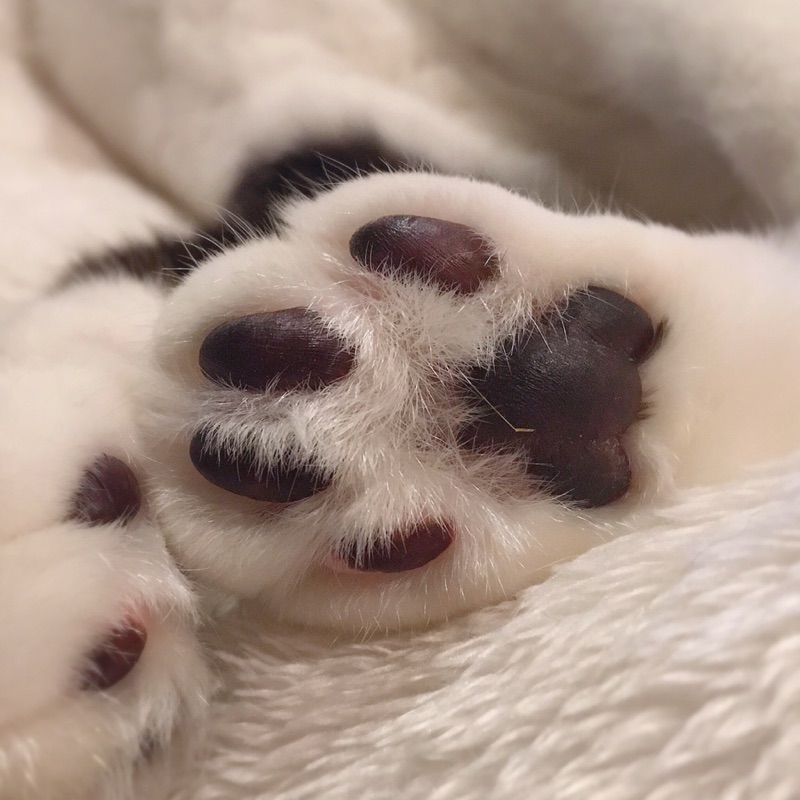 たぐち