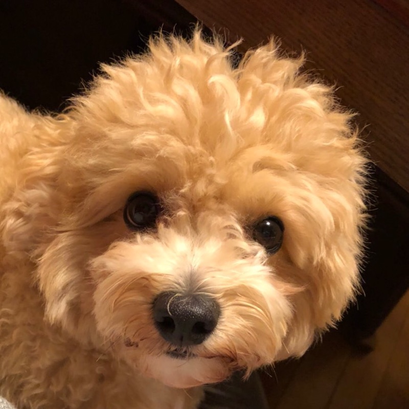 谷迫京子