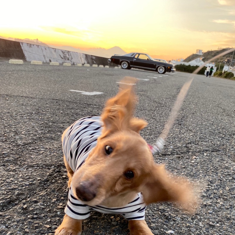 大岸こころ