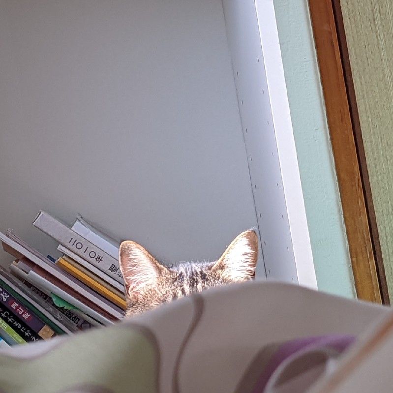 たくみ