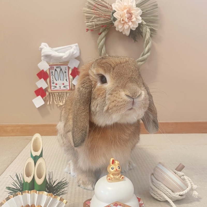 ぺぺ