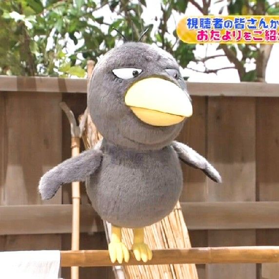 ささきまりこ