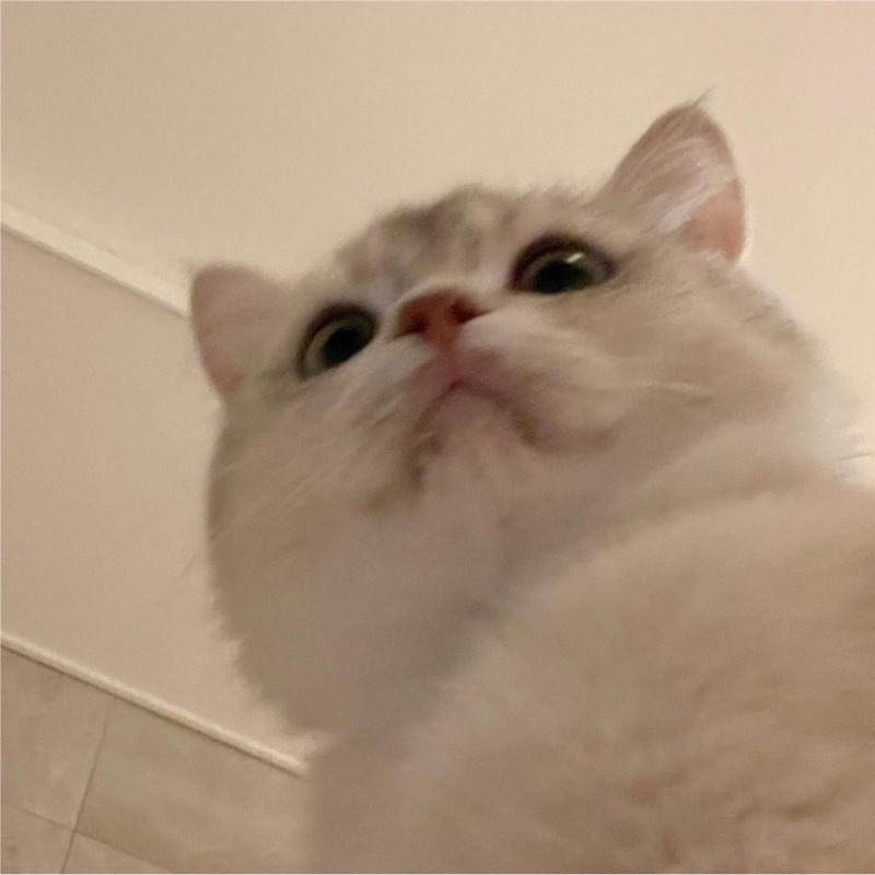 下釜ゆうな