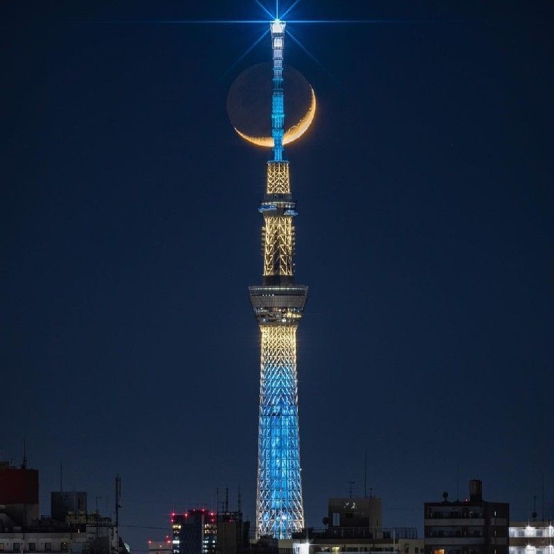 桃月