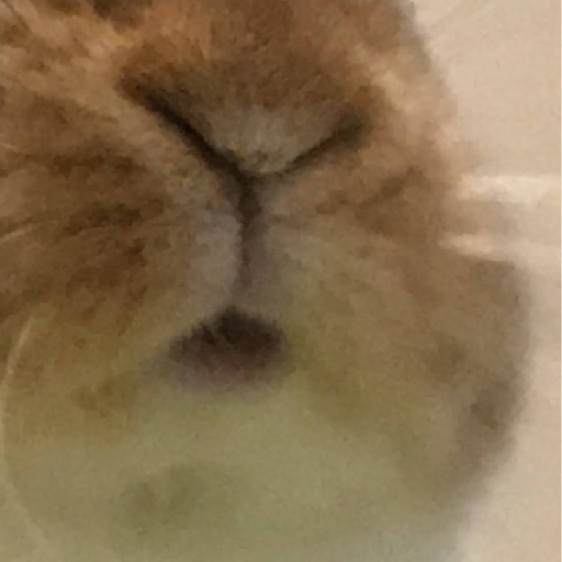 に