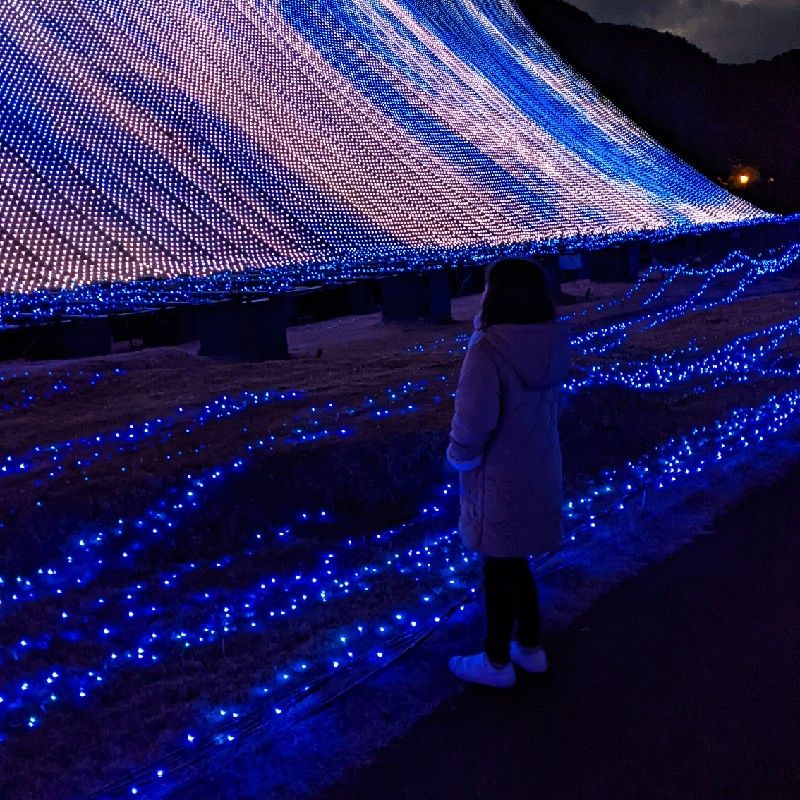 鳥井絵美子