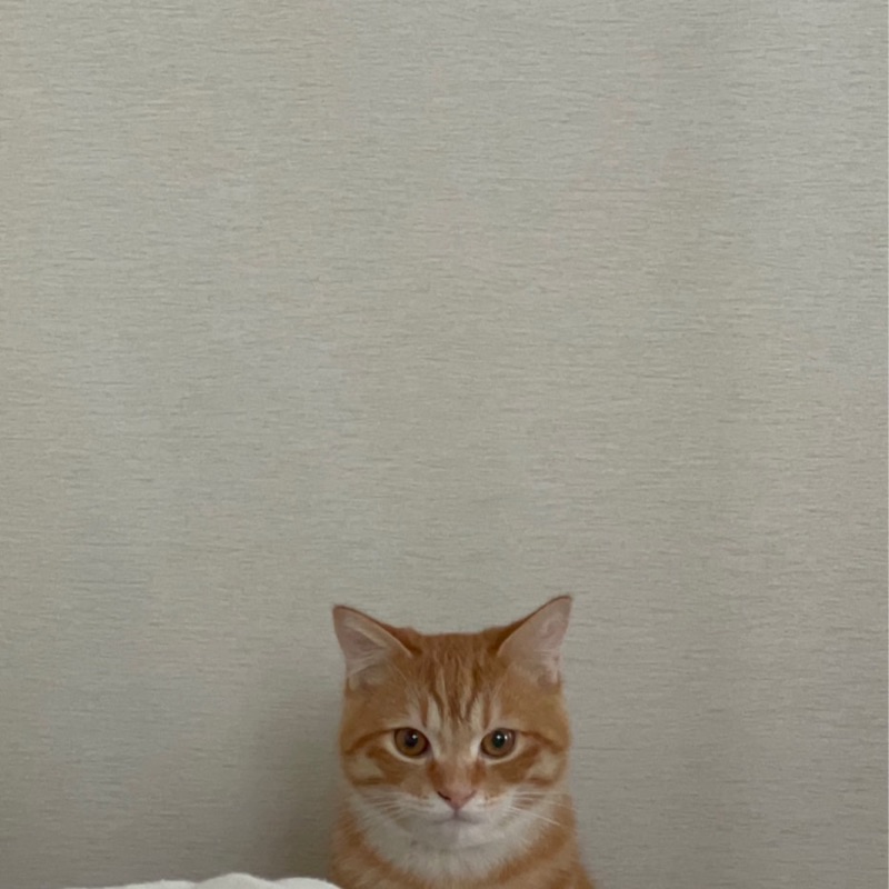 たけい