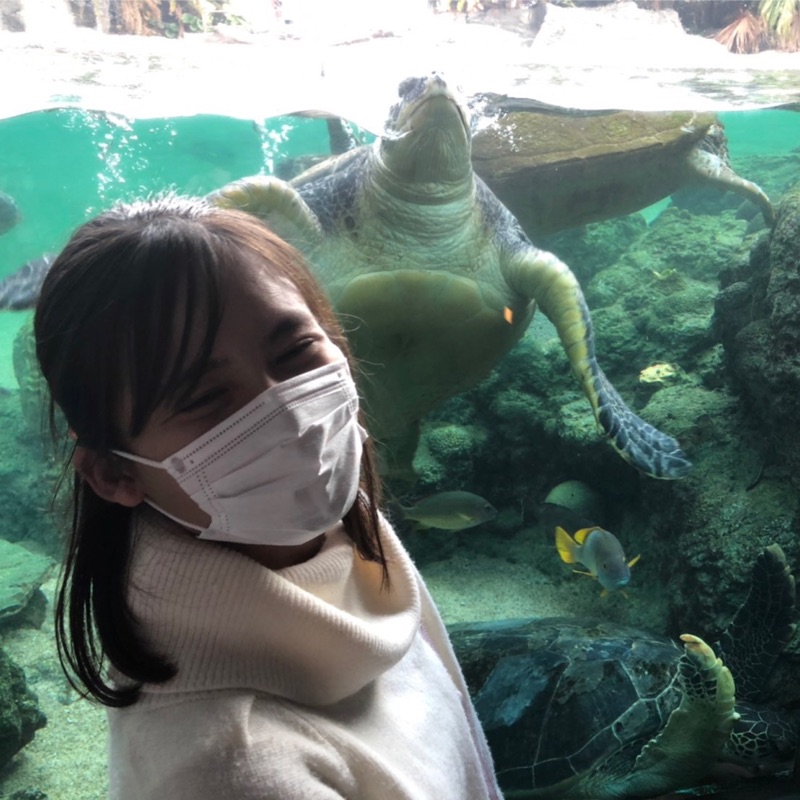 木場　智美