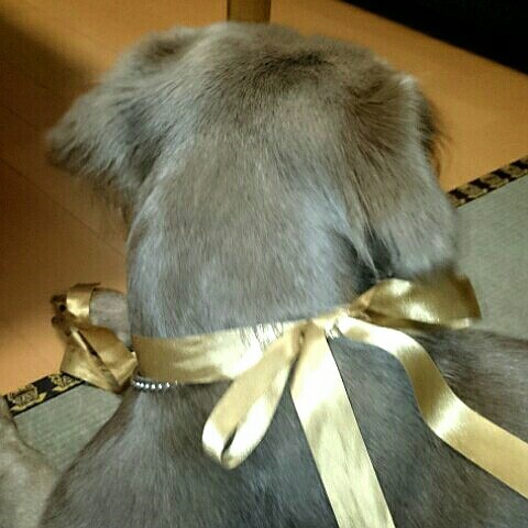 あやこ