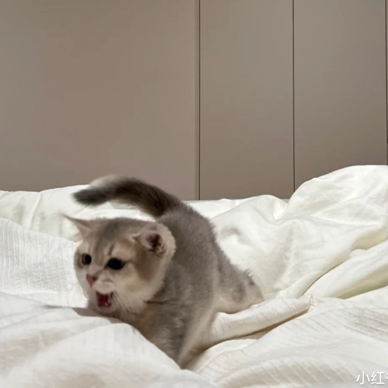 とも