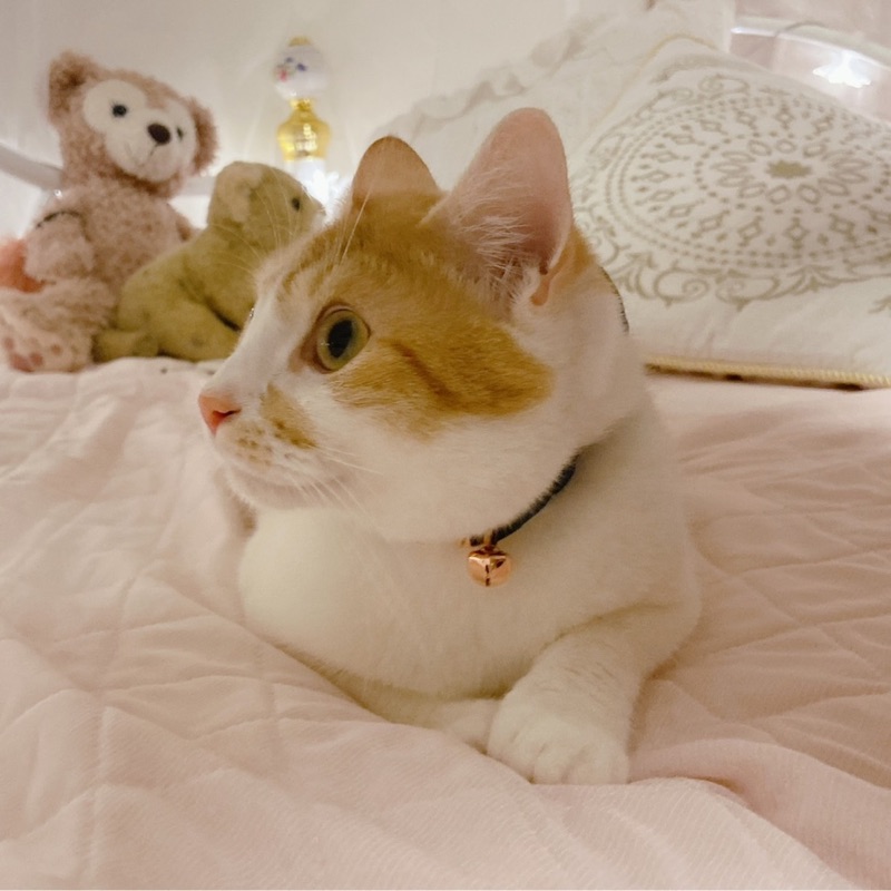 鈴木蒼依