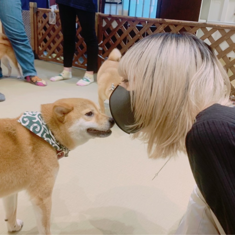 伊達亜仁香