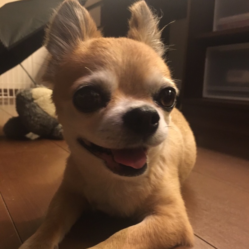 みさと