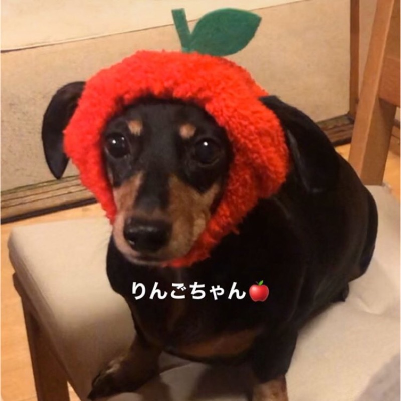 岩崎　晴代