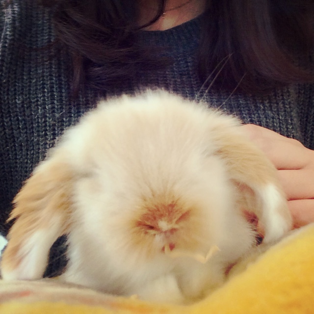 加藤えみ