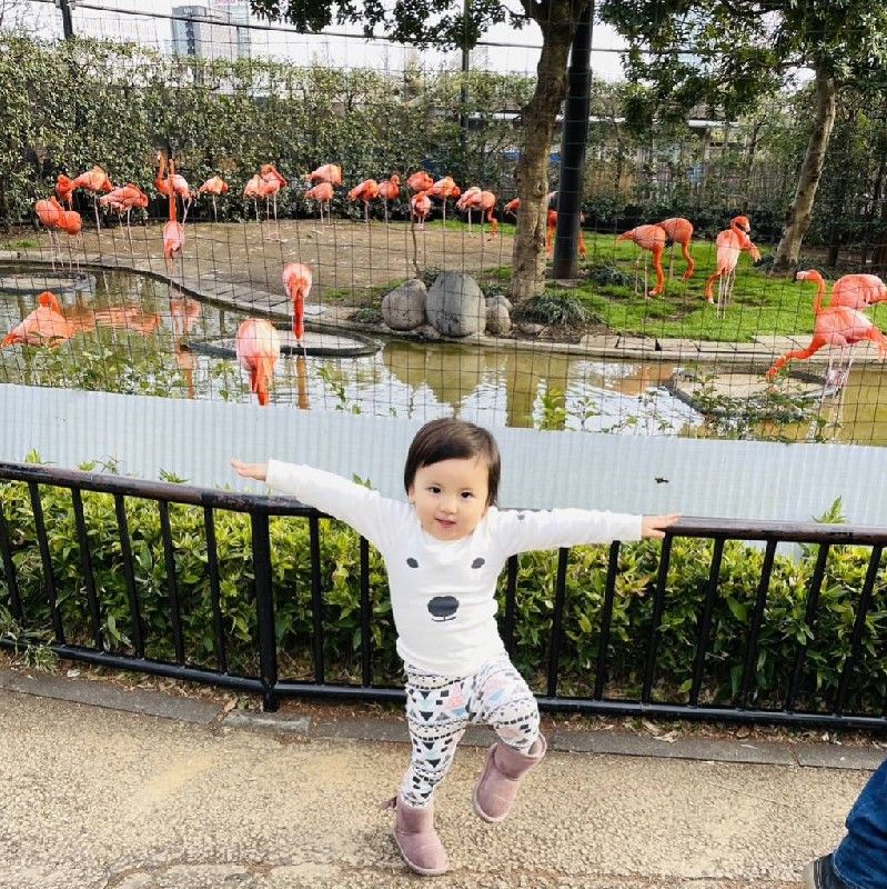 あい