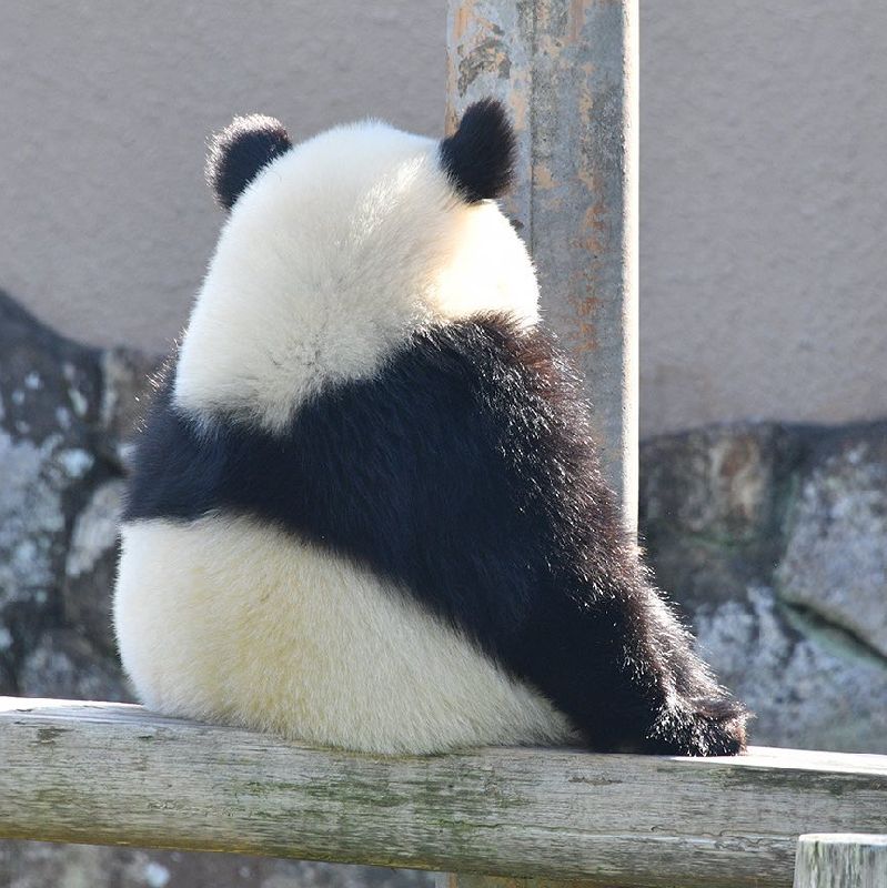高梨恵子