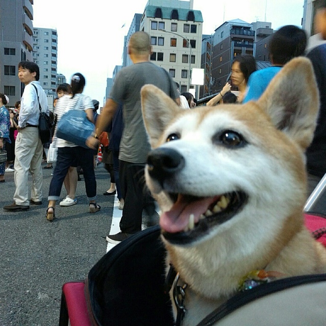 井上　悟
