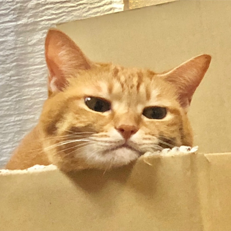 ゆうか