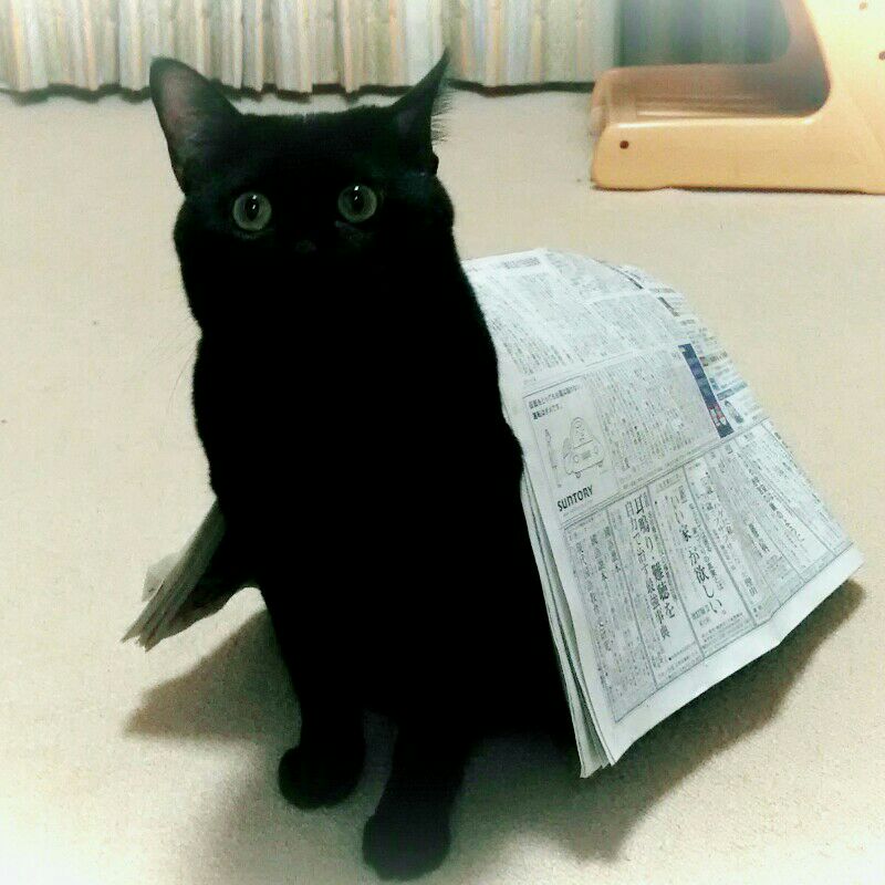 遠藤　眞由美