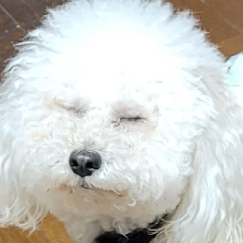 聖