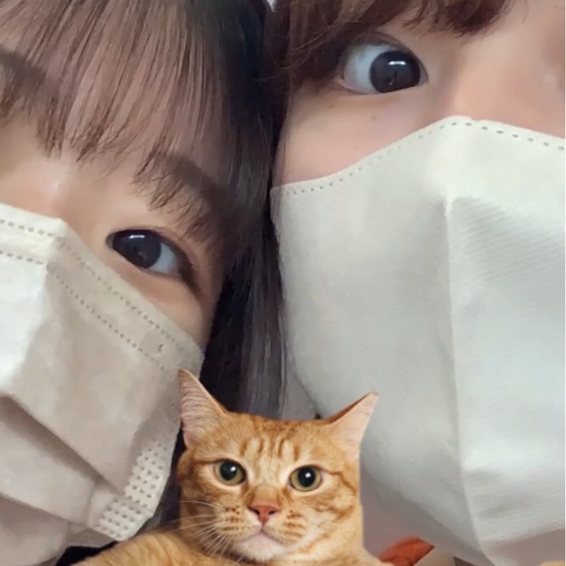 はまきち