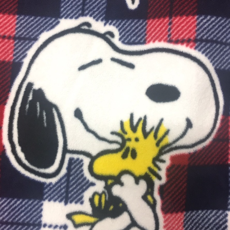 井手口岐依