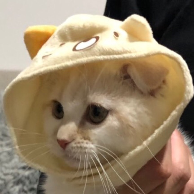 高原璃帆