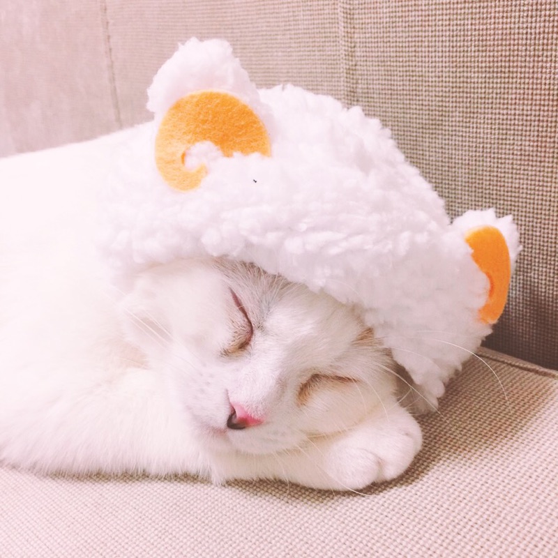 小川直美