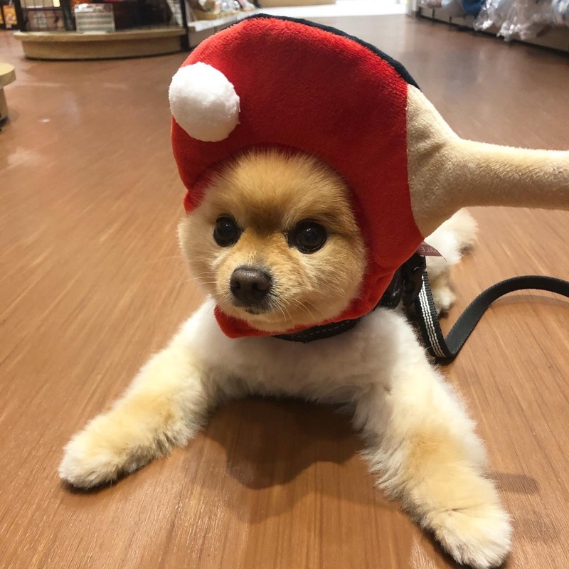 渡辺晴代