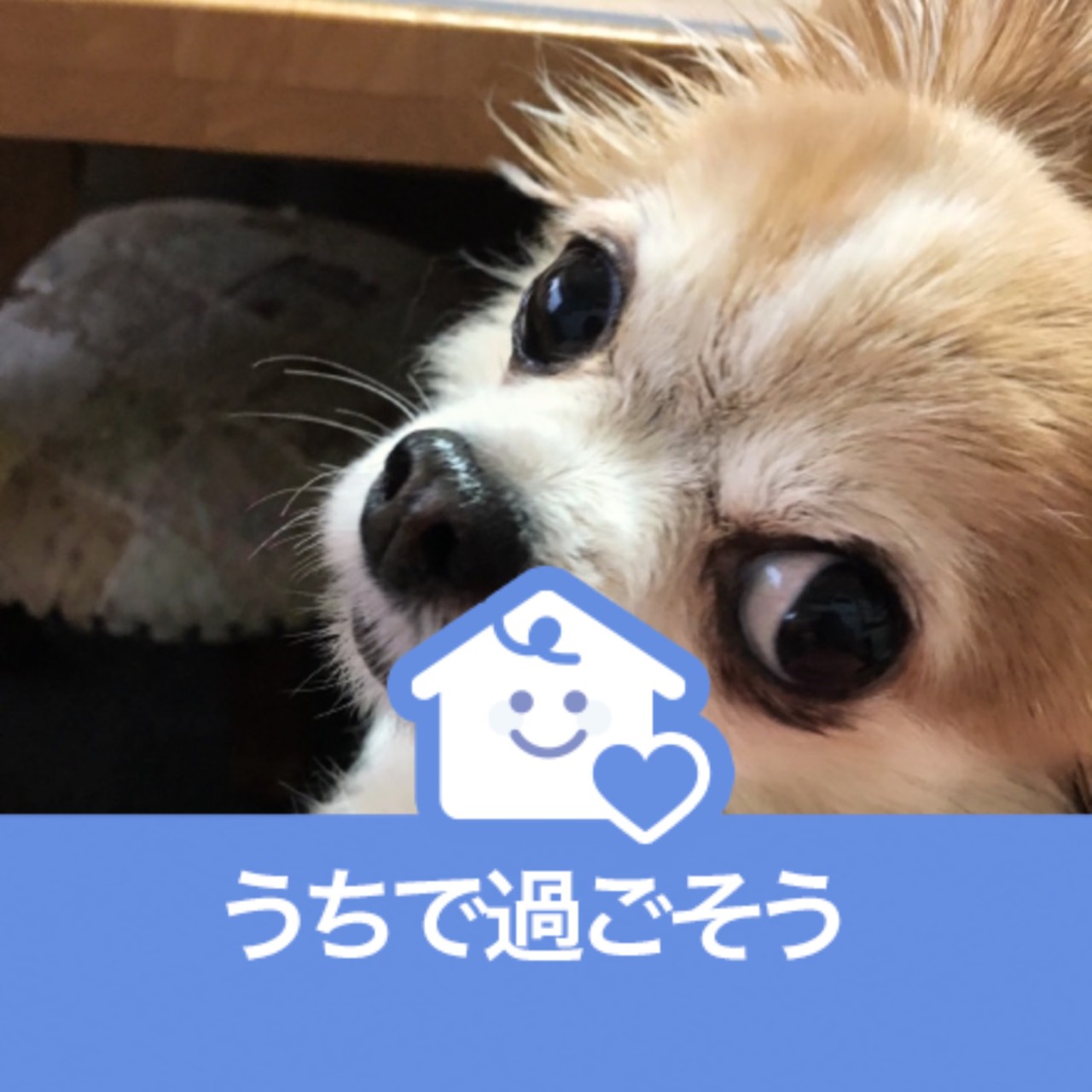 神田聖名子