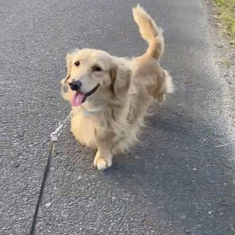 miki