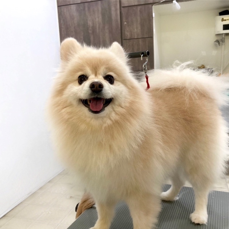 ナカムラ