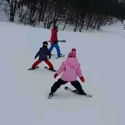 いぬかい