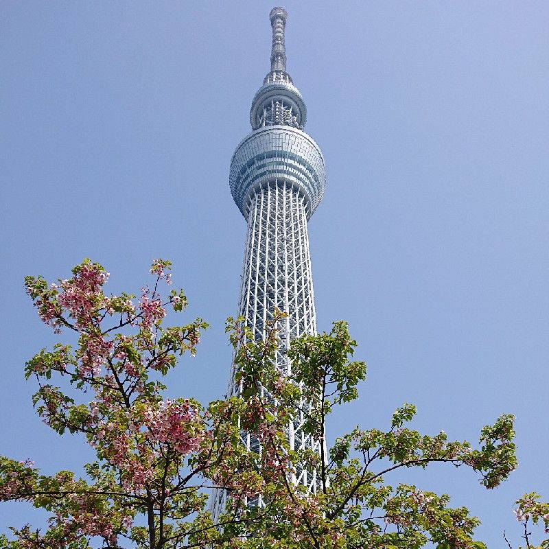 川満敦子
