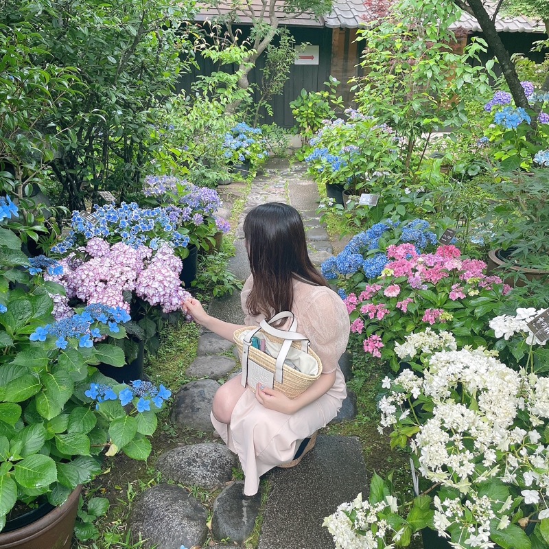 清水望愛