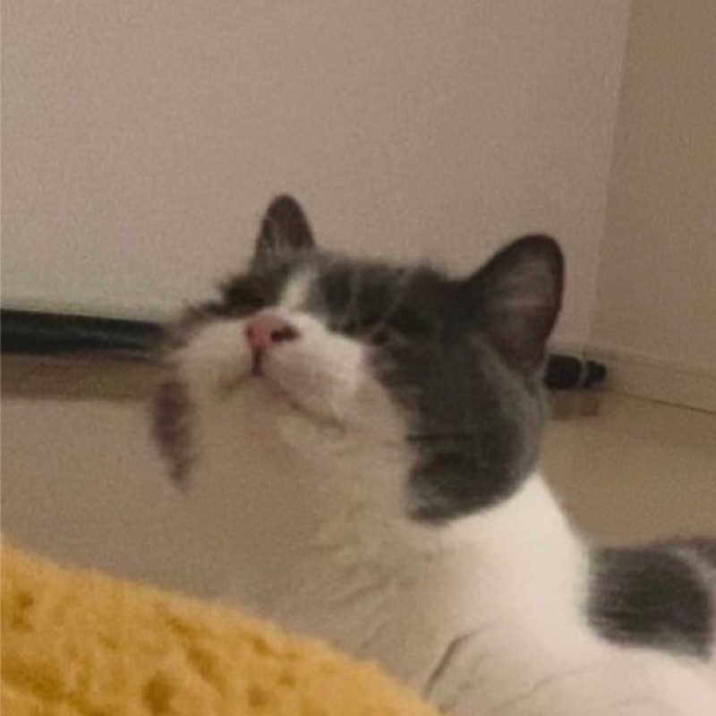 しまつか