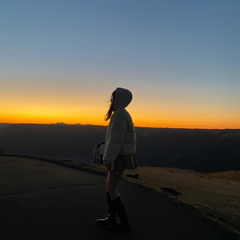 横山莉乃