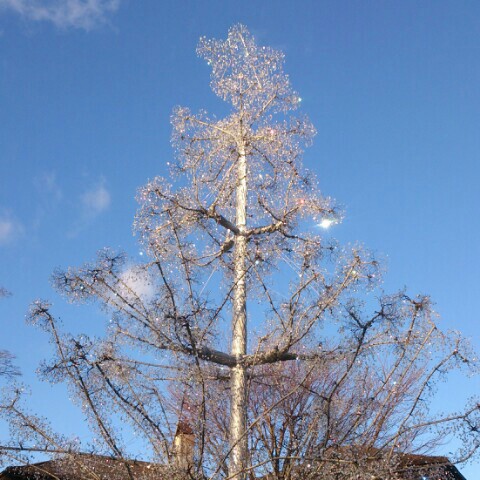 石郷岡　三枝子