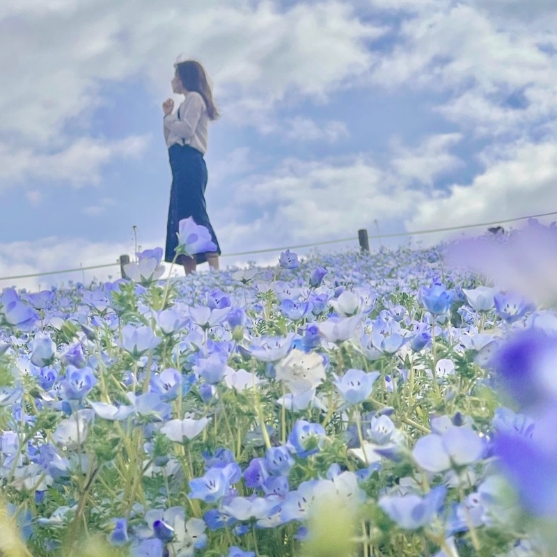 富田華加