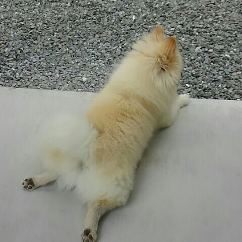 栗本